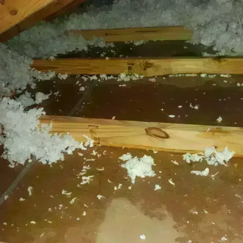 Attic Water Damage in Norwood, MA